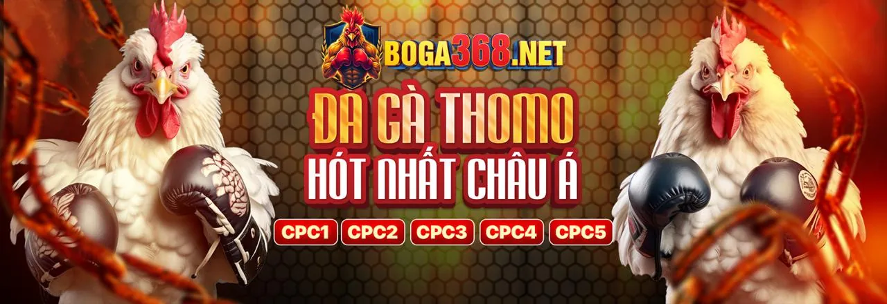 Hình ảnh đại diện cho hướng dẫn an toàn liên kết mới OP88